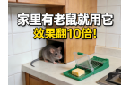 家里有老鼠就用它，效果翻10倍！
