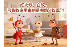 红火蚁，白蚁，弓背蚁这些蚂蚁该怎么灭？有