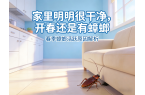 家里收拾的很干净，怎么还有蟑螂呢？